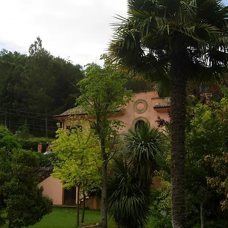 Clementine Piazza Armerina